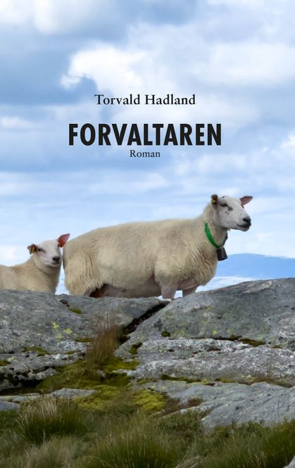 Hovedbilde Forvaltaren